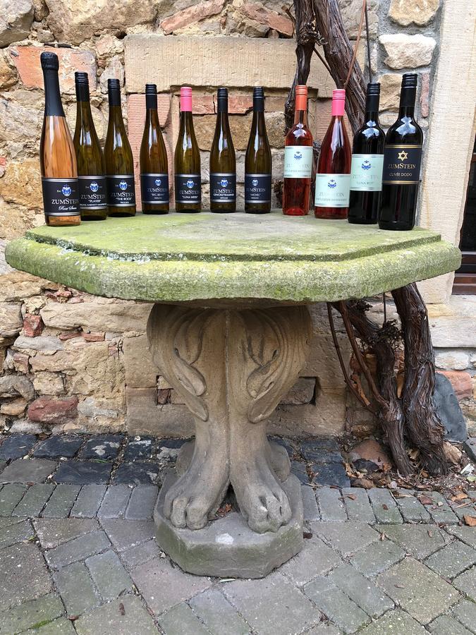 Weingut Zumstein Hotel Bad Dürkheim Zewnętrze zdjęcie